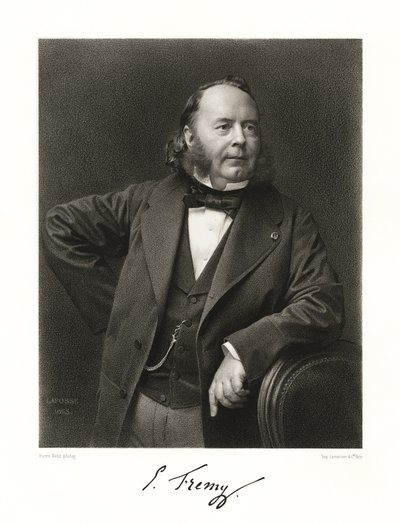 Edmond Fremy da Jean Baptiste Adolphe Lafosse